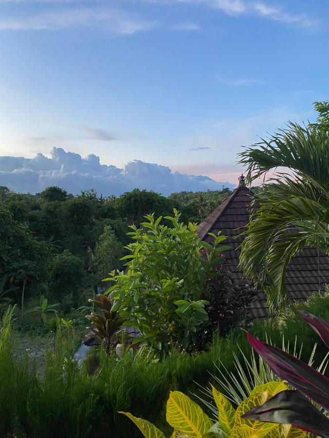 The Pancor Jungle Resort Ped Eksteriør bilde